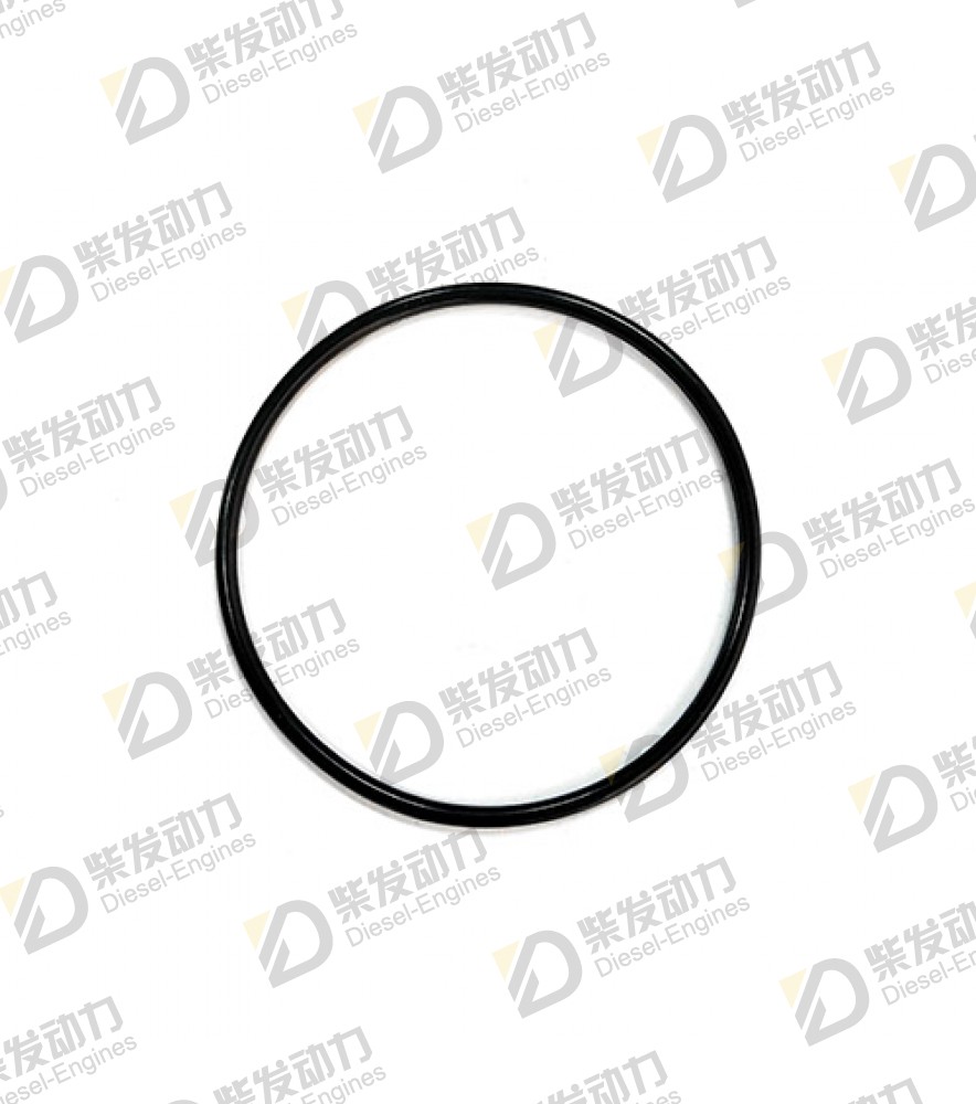 O-ring 925256 